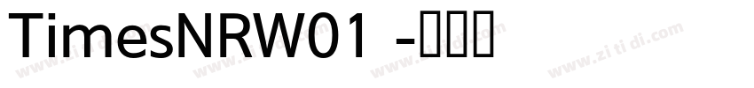 TimesNRW01 字体转换